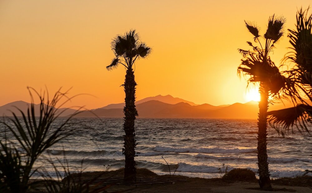 Фото Blue Pearls - Adults Only