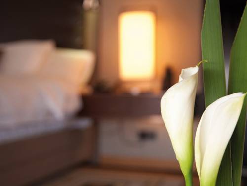 Фото Hotel Swiss Star