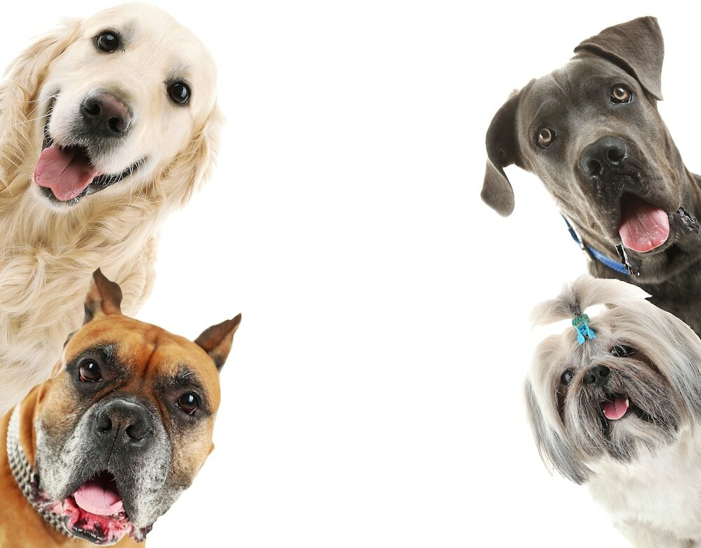 Фото Little Creek Cove Beachfront Resort