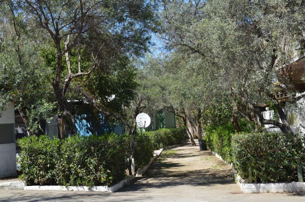 Фото Camping Chania