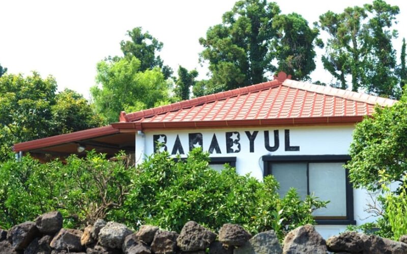 Гостиница Jeju Badabyul Guest and Dive