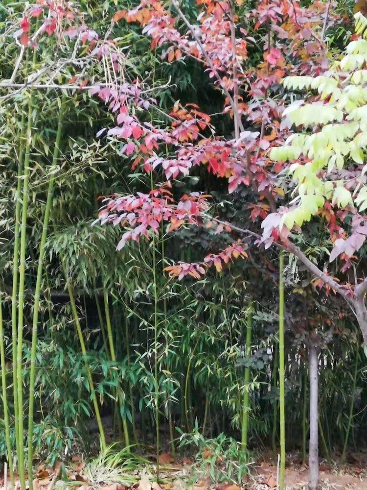 Фото Railway 1896 Garden Hotel