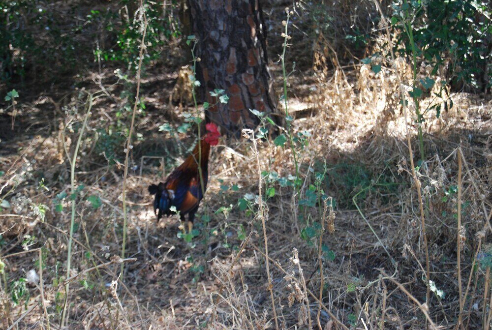 Фото Vivienda Rural el Retorno