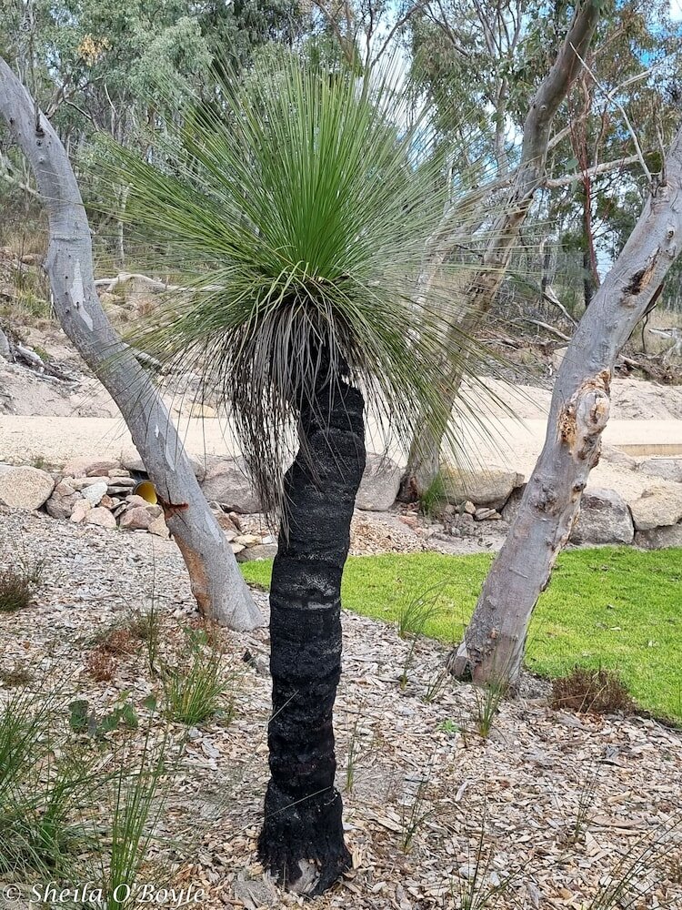 Фото Glen Lough Cabins