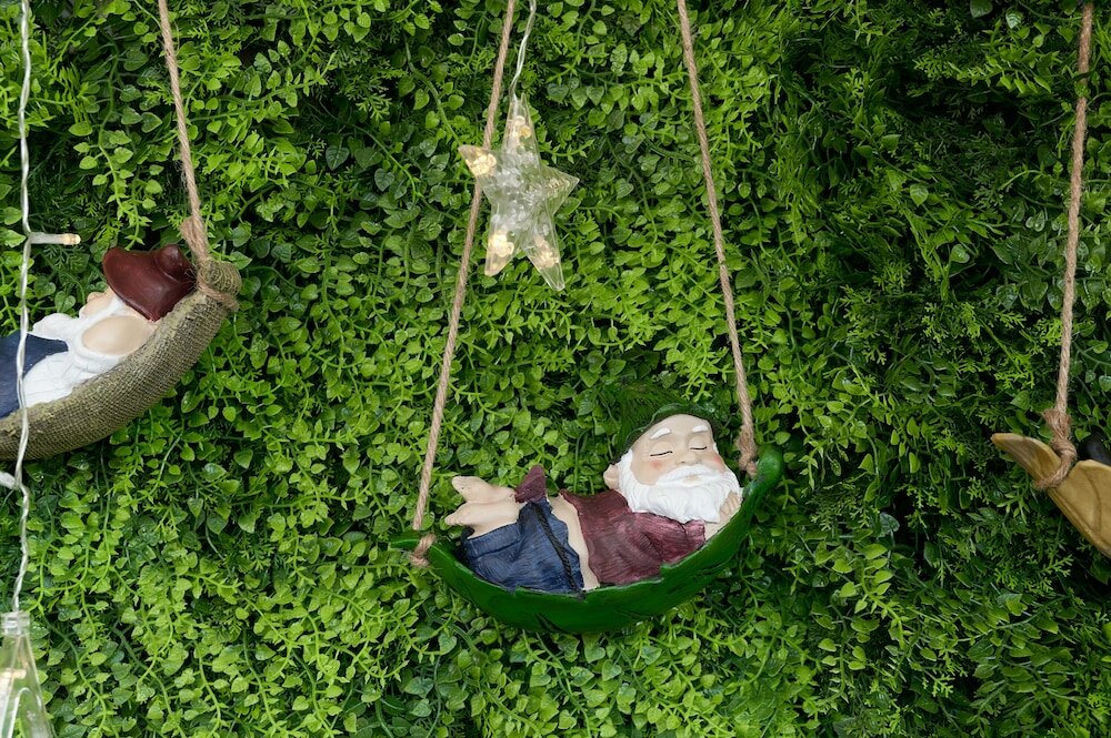 Фото Snowflower Guesthouse