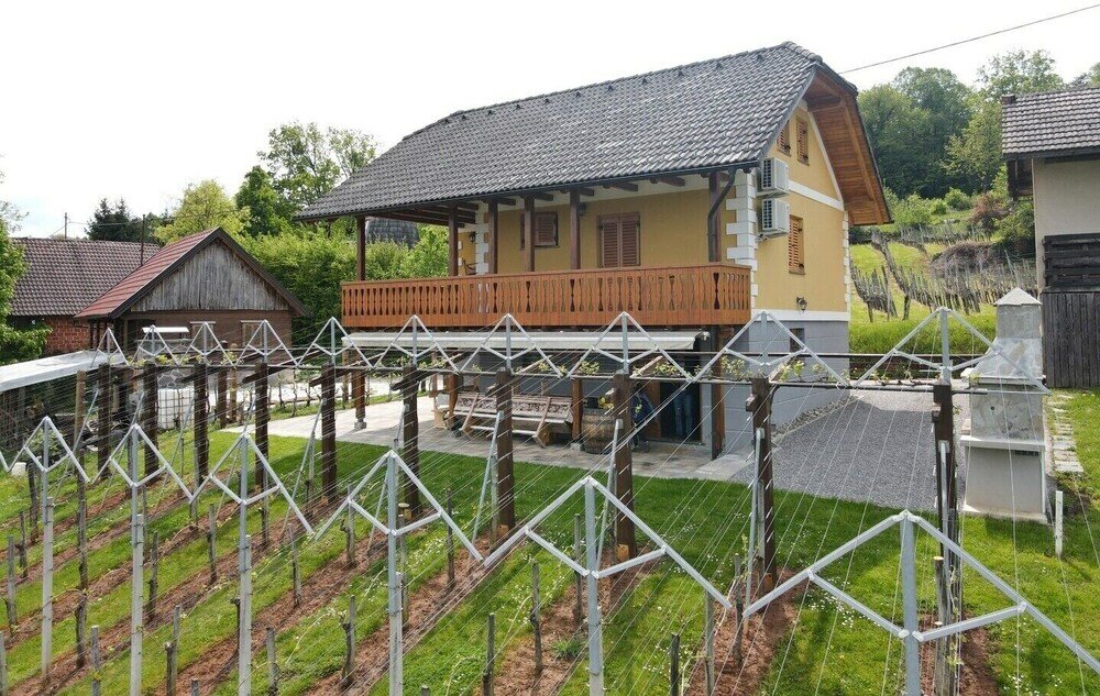 Фото Vineyard Cottage Stepan