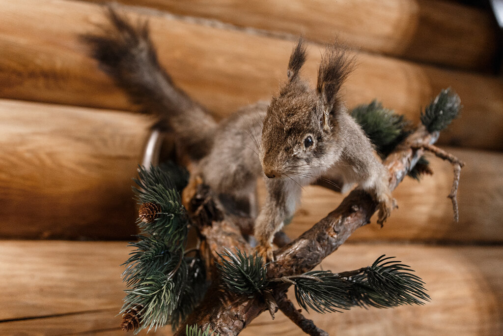 Фото ЛогХаус