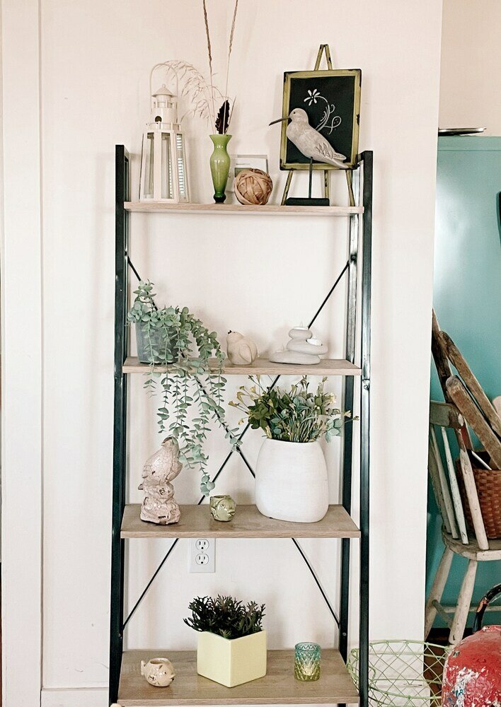 Фото Little Bird Inn