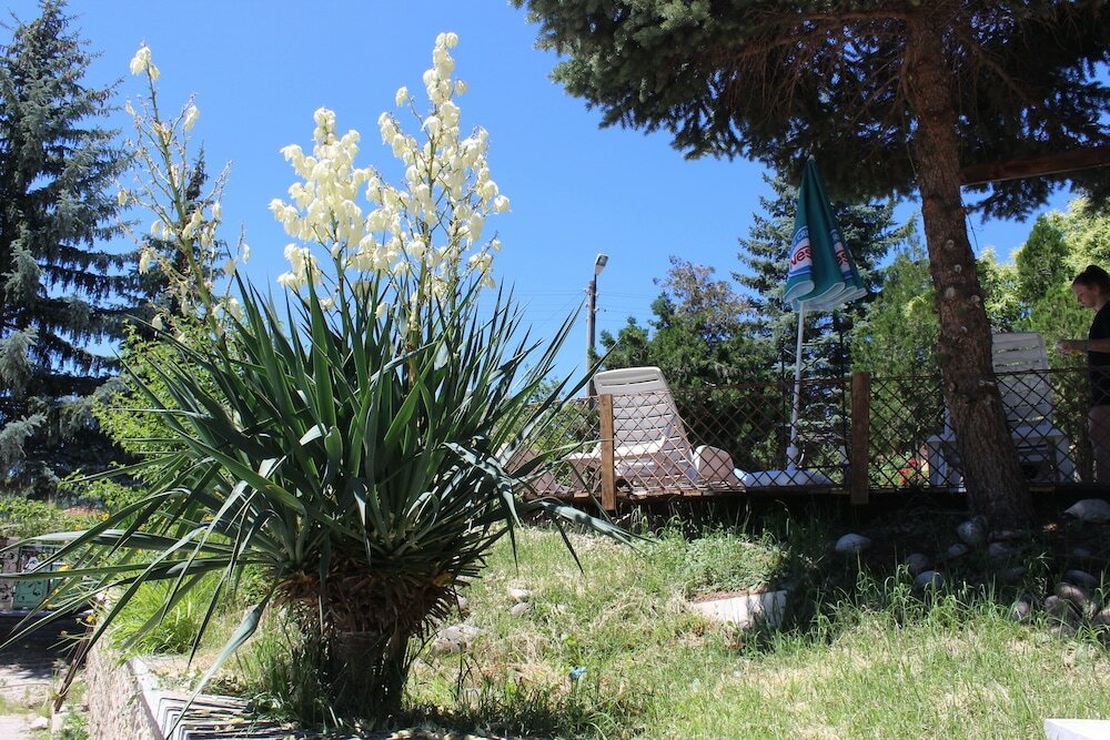 Фото Hotel Vitalis