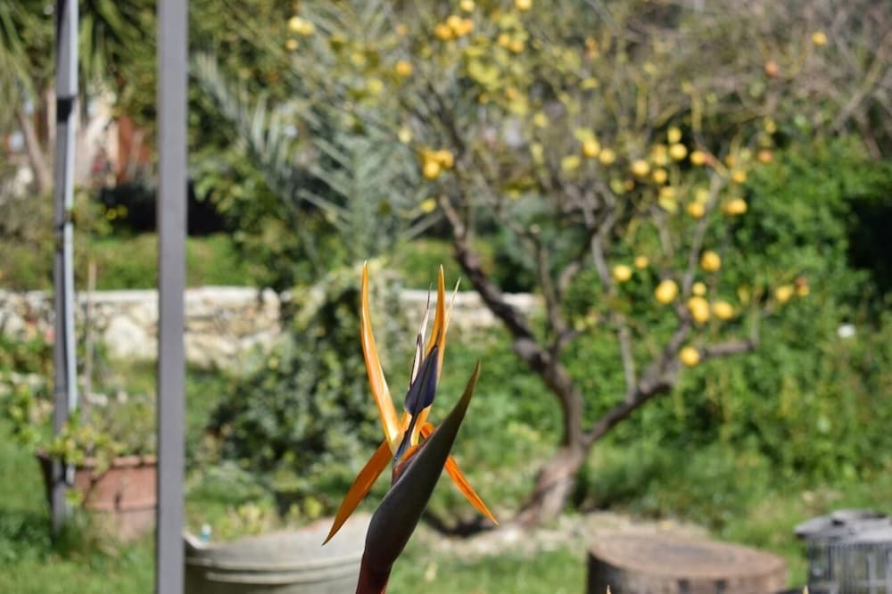 Фото Picturesque Traditional Stone House