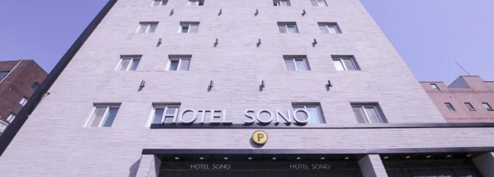 Фото Hotel Sono