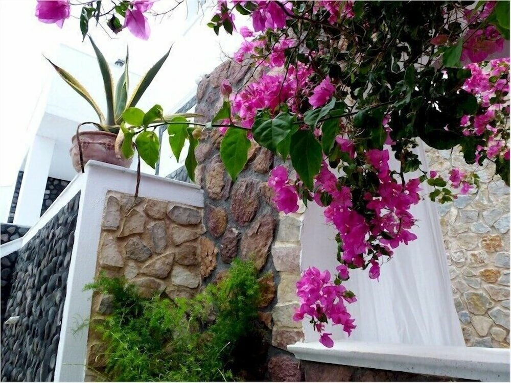 Фото Bougainvillea Suites