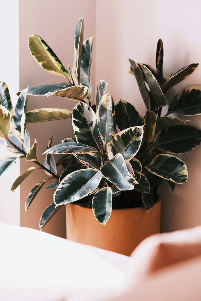 Фото Guesthouse by Good Neighbor