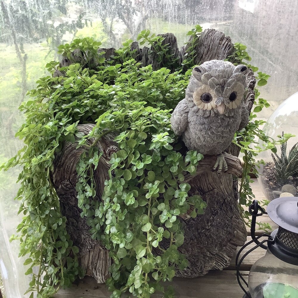 Фото Leisure Pavilion House B&b