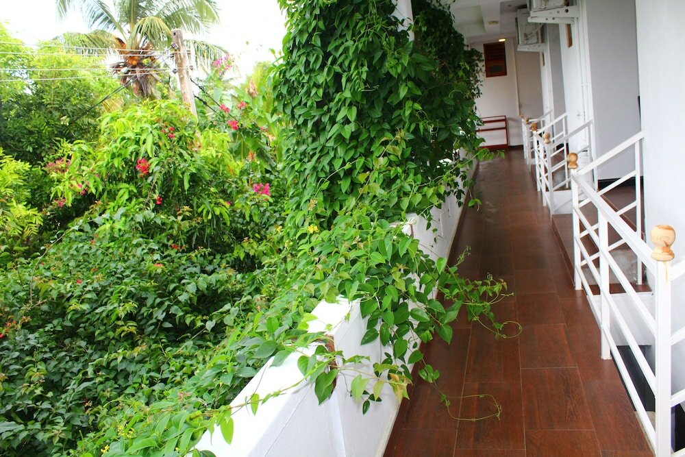 Фото Big Blue Hotel