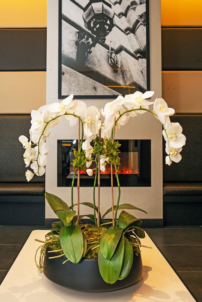 Фото The Hotel at Fifth Avenue