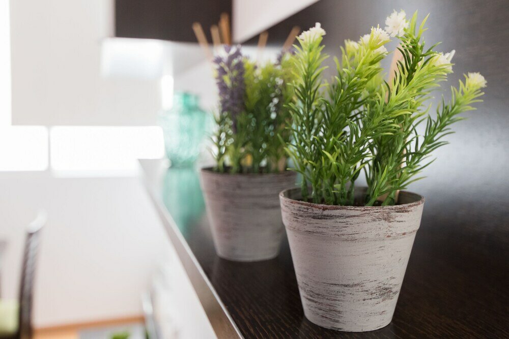 Фото Apartamento El Solarium de Torre