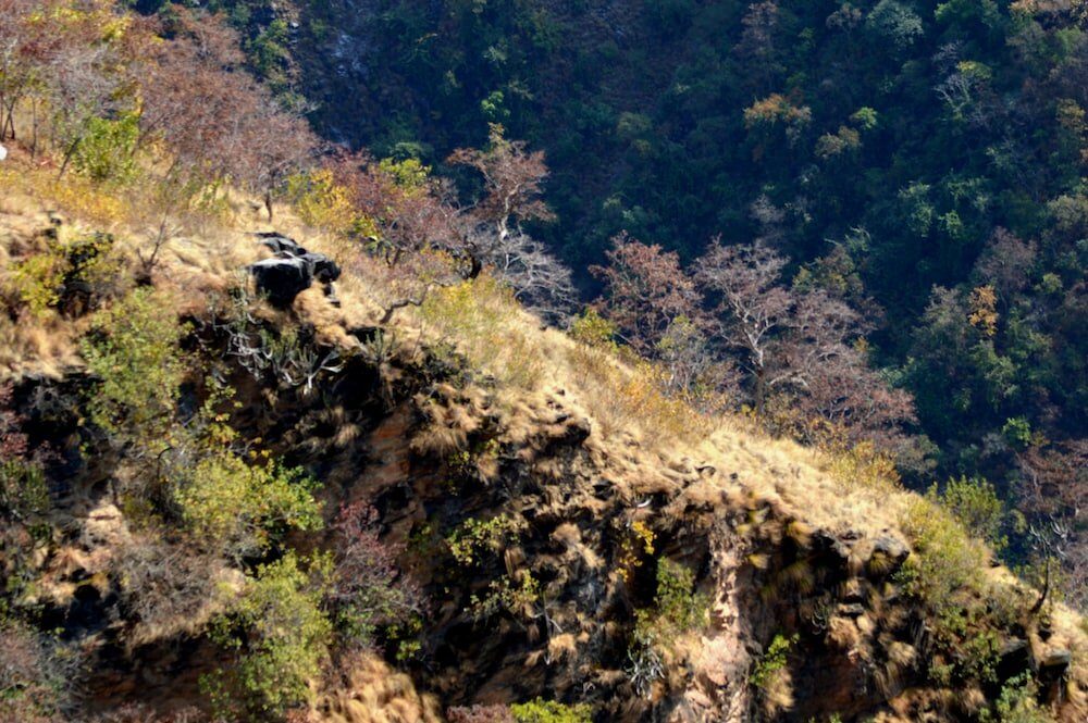 Фото Auranya The Mystical Himalayan Retreat