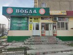 Vobla (Aıbergenov kóshesi, 1Б) ، متجر بيع البيرة