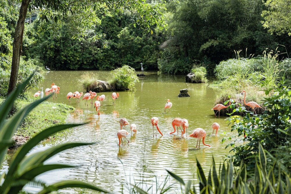 Фото Crowne Plaza Phu Quoc Starbay