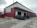 Tires (Tamerlan tas joly, 252), neumáticos y llantas