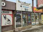 Mobile Phone Repair and Accessories Salon (Tole Bi Street, 281А) ، تصليح الهواتف