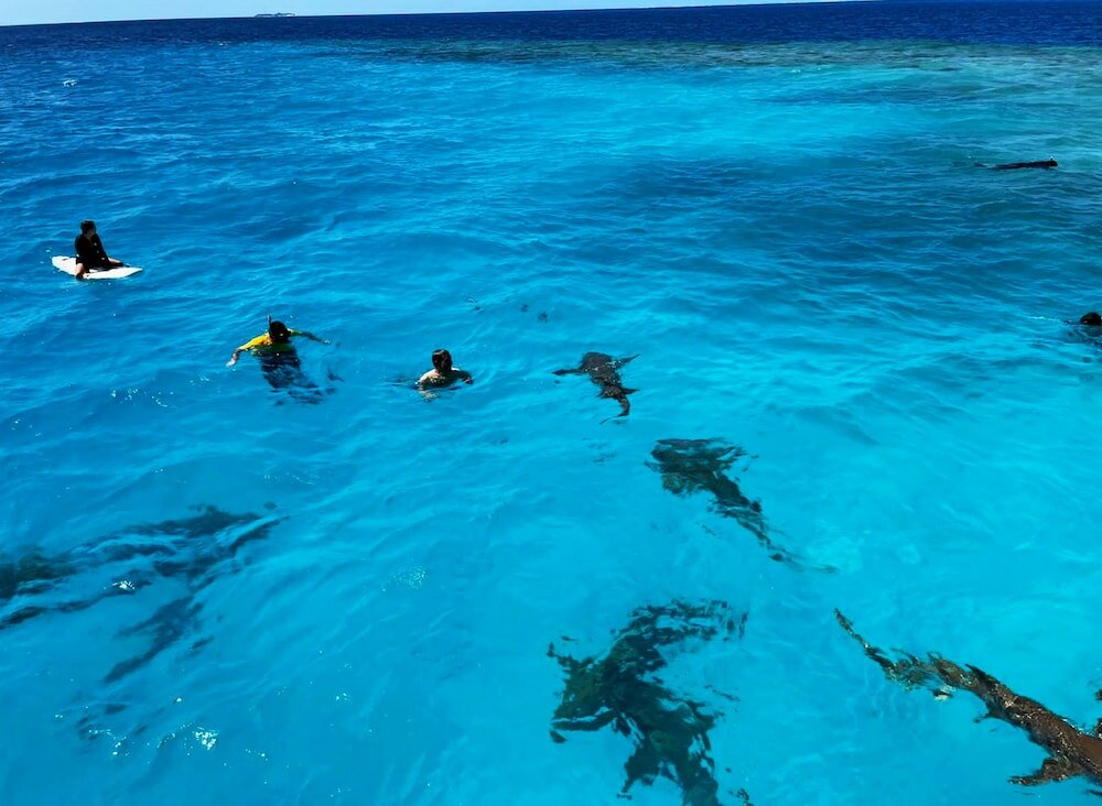 Фото Adroit Beach Inn