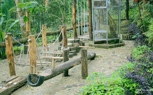 Гостиница Pu Luong Jungle Lodge в Провинции Тханьхоа