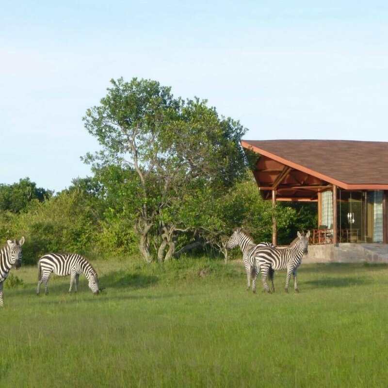 Гостиница Simba & Oryx Nature Camp