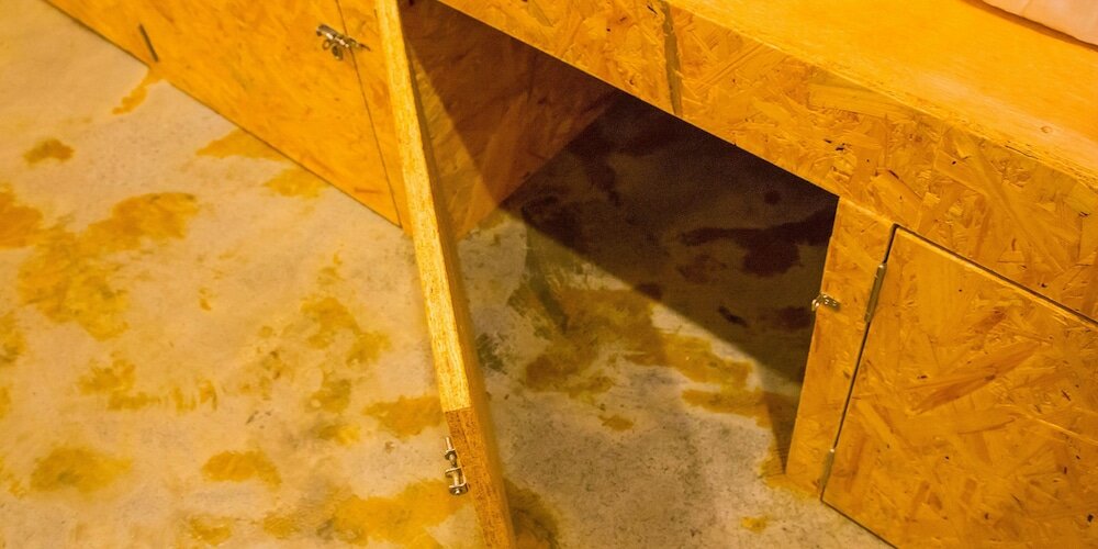 Фото Seawall Hostel