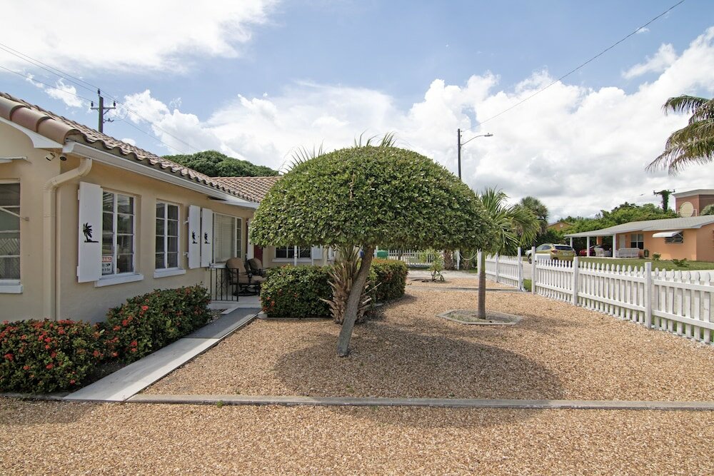Фото Beach-anchor Palms
