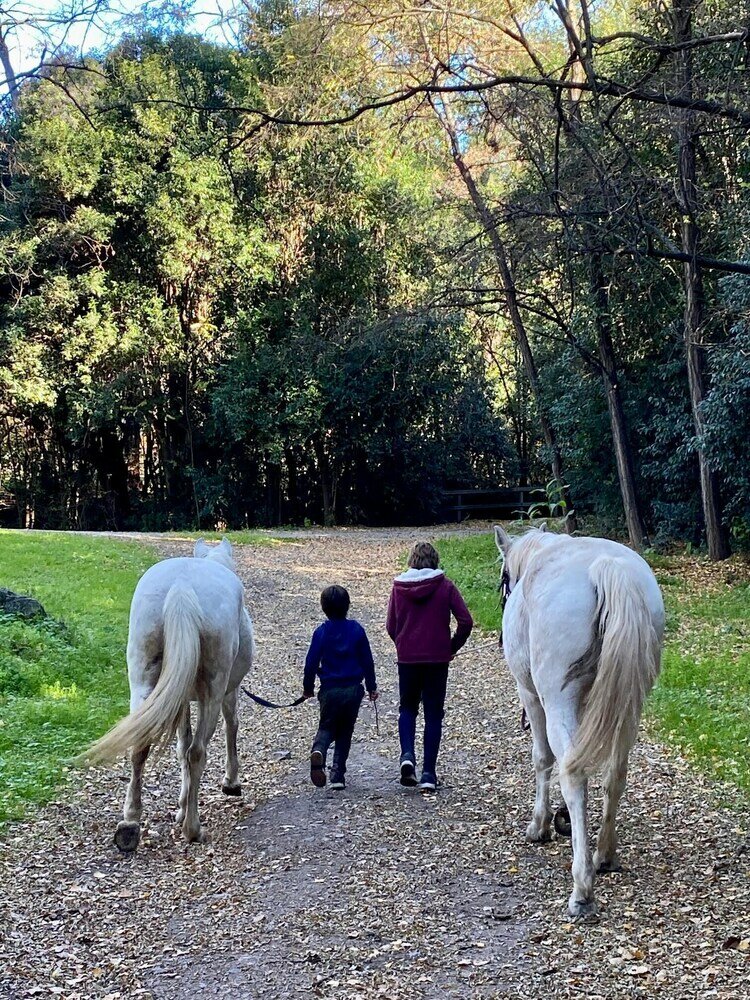 Фото Estancia Grande