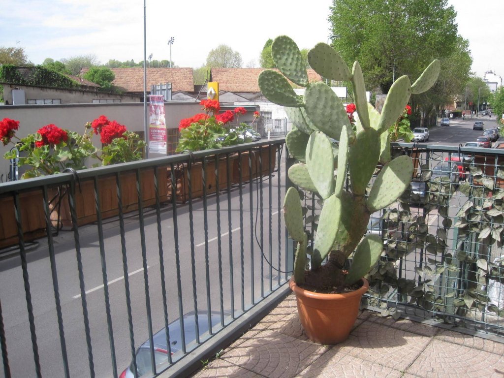 Фото Hotel Bel Sit