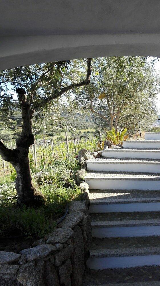 Фото Agriturismo B&b Domo De Resteblas