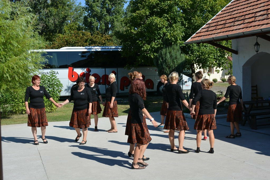 Фото 155849537155