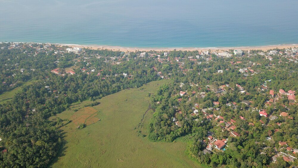 Фото Silence Garden