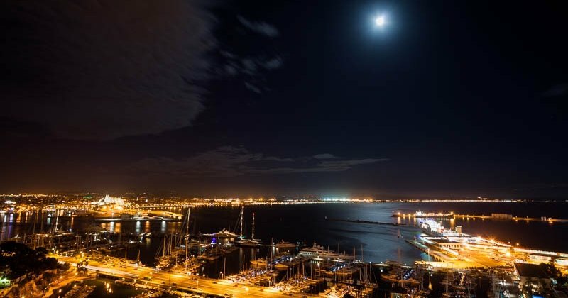 Фото Hotel Amic Horizonte