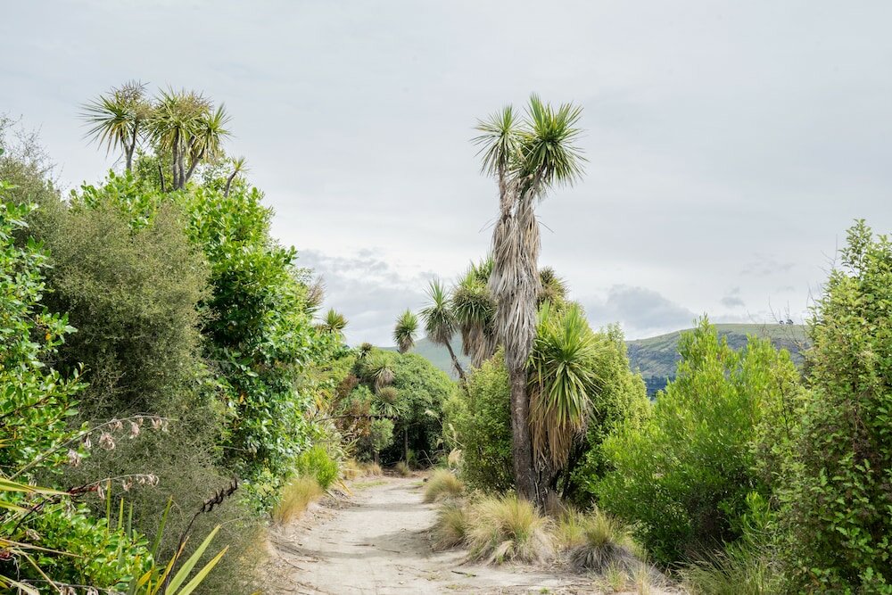 Фото The Hutch - Top Spot