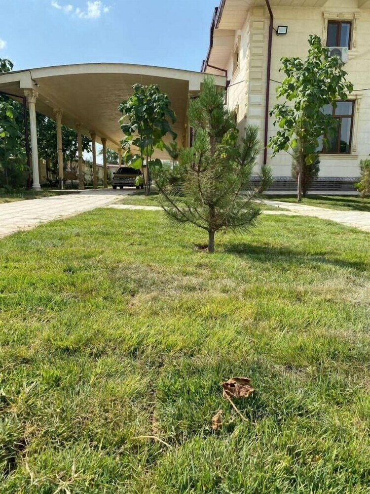 Фото Green apple Hotel