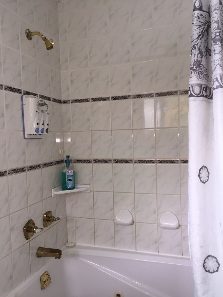 Фото Lava Tree Tropic Inn