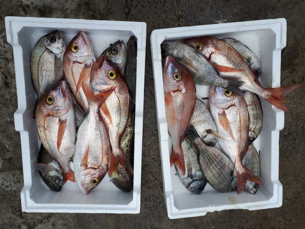 Фото B&b Filomena