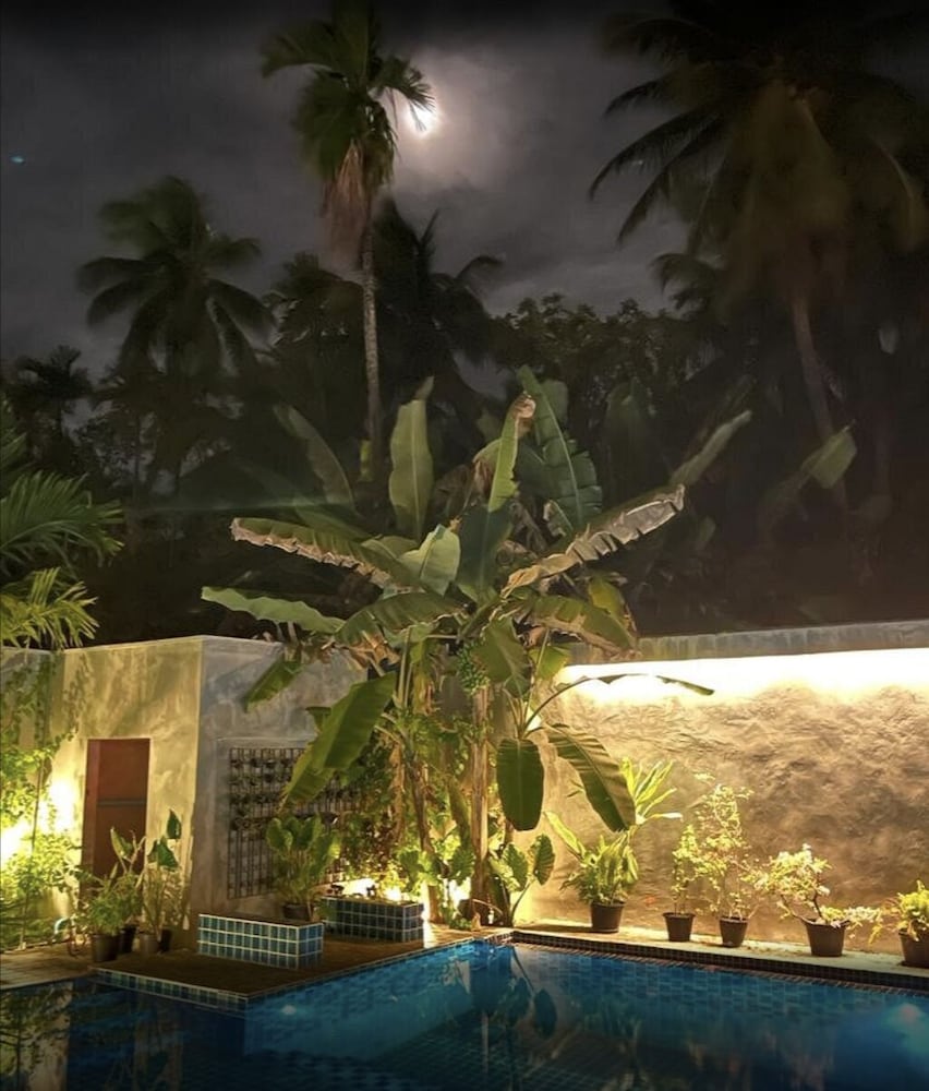 Фото Tiger Shark Residence