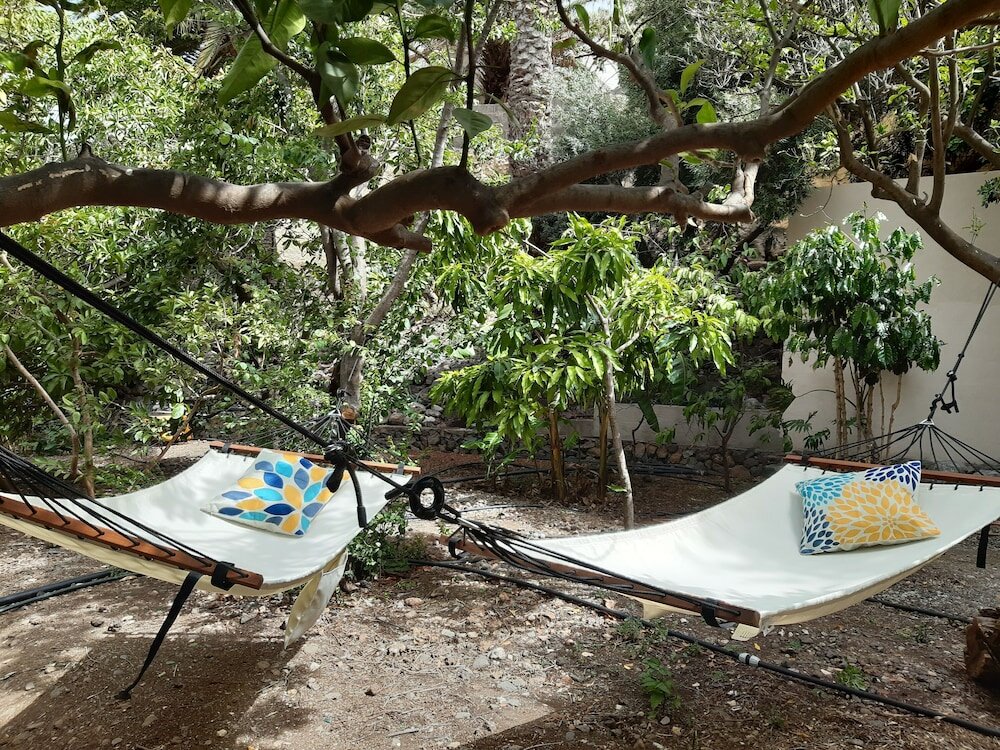 Фото Вилла Nestor