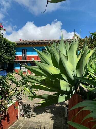 Гостиница Hotel Hacienda Villa Victoria