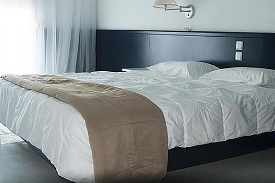 Фото Skion Palace Beach Hotel