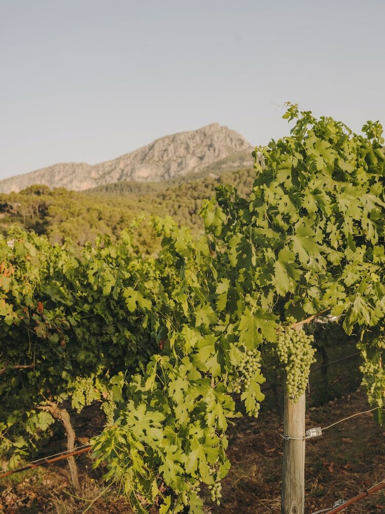 Фото Grand Hotel Son Net