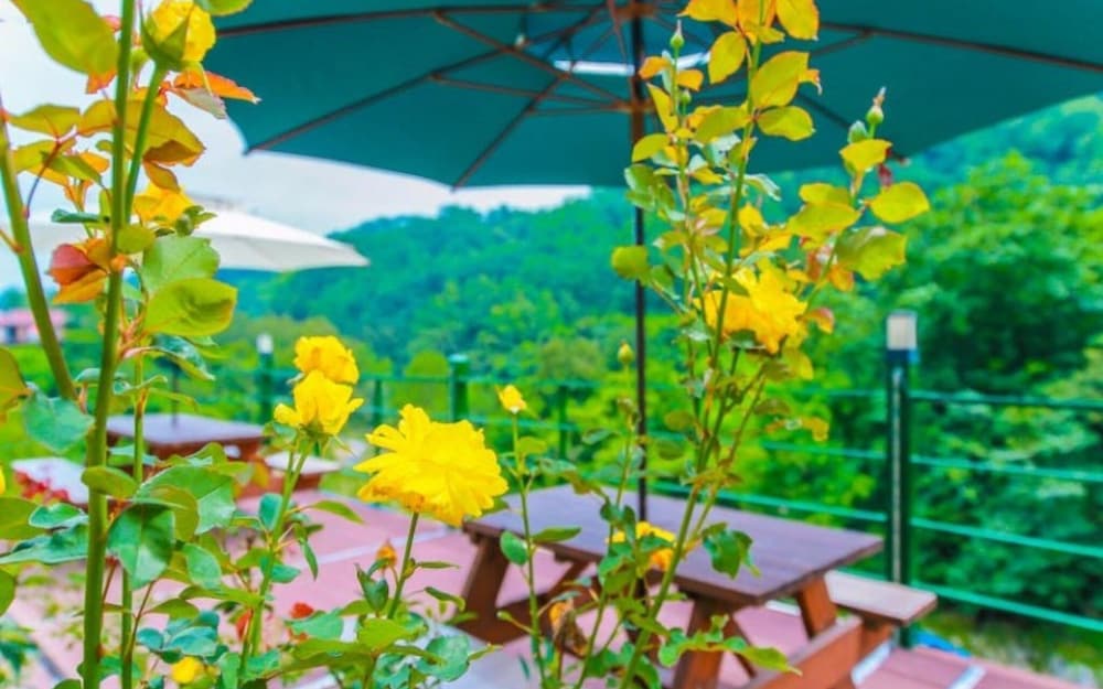 Фото Yangyang Daol Pension