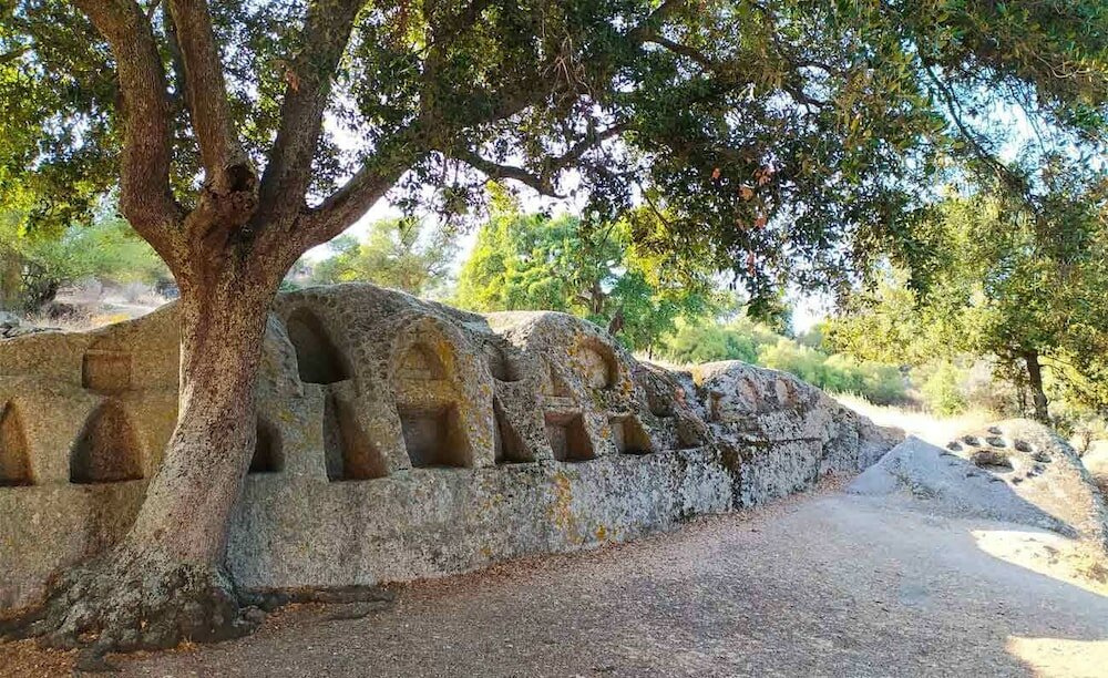 Фото Agriturismo B&b Domo De Resteblas