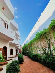 Гостиница Ghazala Oasis Dahab Hotel в Дахабе