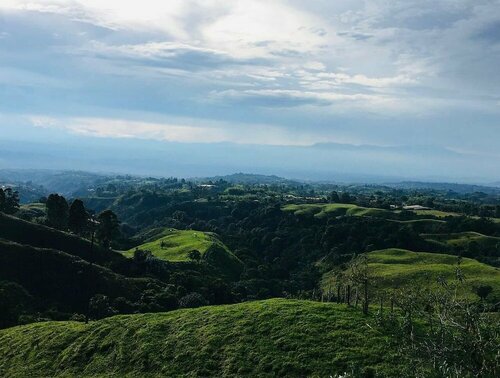 Гостиница Hotel EN el Eje Cafetero Quindio